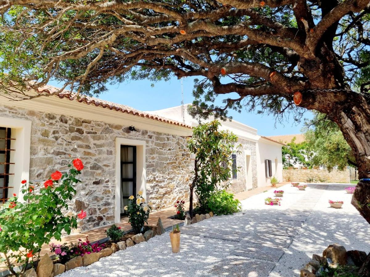 Stazzo San Teodoro La Quercia Piscina Condivisa Appartement Buitenkant foto